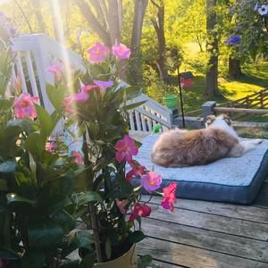 Meet your Posher, Kim